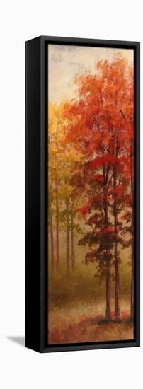 Fall Trees II-Michael Marcon-Framed Stretched Canvas