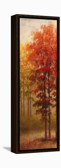 Fall Trees II-Michael Marcon-Framed Stretched Canvas