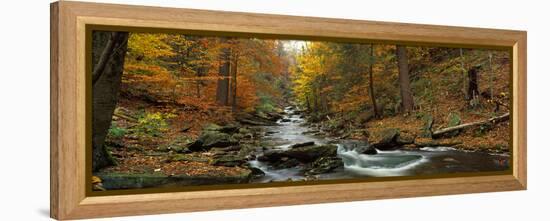 Fall Trees Kitchen Creek Pa-null-Framed Stretched Canvas