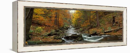 Fall Trees Kitchen Creek Pa-null-Framed Stretched Canvas