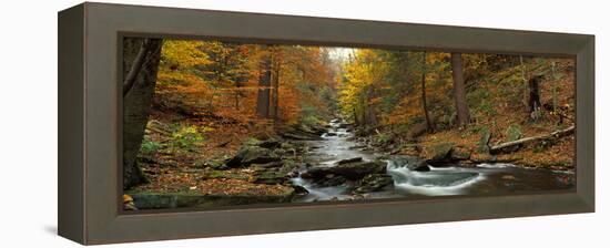 Fall Trees Kitchen Creek Pa-null-Framed Stretched Canvas