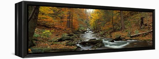 Fall Trees Kitchen Creek Pa-null-Framed Stretched Canvas