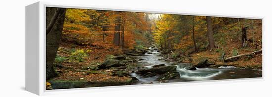 Fall Trees Kitchen Creek Pa-null-Framed Stretched Canvas