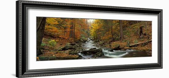 Fall Trees Kitchen Creek Pa-null-Framed Premium Photographic Print