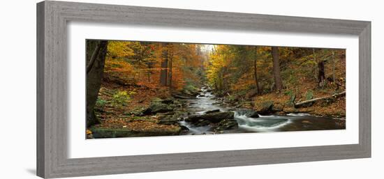 Fall Trees Kitchen Creek Pa-null-Framed Photographic Print