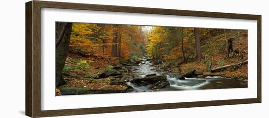 Fall Trees Kitchen Creek Pa-null-Framed Photographic Print