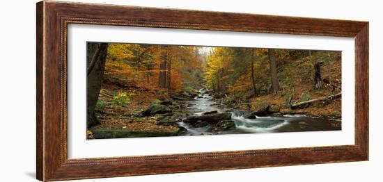 Fall Trees Kitchen Creek Pa-null-Framed Photographic Print