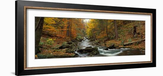 Fall Trees Kitchen Creek Pa-null-Framed Photographic Print