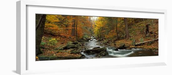 Fall Trees Kitchen Creek Pa-null-Framed Photographic Print