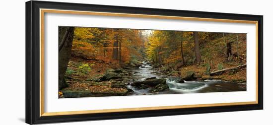 Fall Trees Kitchen Creek Pa-null-Framed Photographic Print