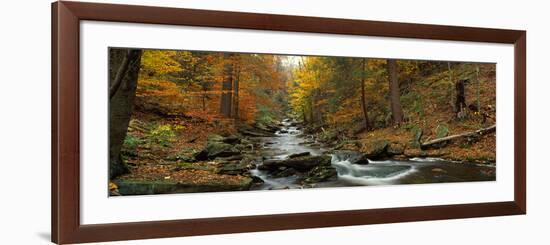 Fall Trees Kitchen Creek Pa-null-Framed Photographic Print