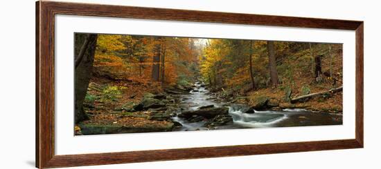 Fall Trees Kitchen Creek Pa-null-Framed Photographic Print