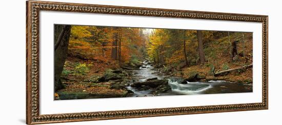 Fall Trees Kitchen Creek Pa-null-Framed Photographic Print