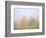 Fall trees shrouded in mist-Craig Tuttle-Framed Photographic Print