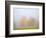 Fall trees shrouded in mist-Craig Tuttle-Framed Photographic Print