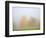 Fall trees shrouded in mist-Craig Tuttle-Framed Photographic Print