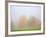 Fall trees shrouded in mist-Craig Tuttle-Framed Photographic Print