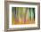 Fall Trees-Ursula Abresch-Framed Photographic Print