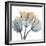 Fall Tulips-Albert Koetsier-Framed Photo