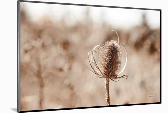 Fall Turns-Nathan Larson-Mounted Photographic Print