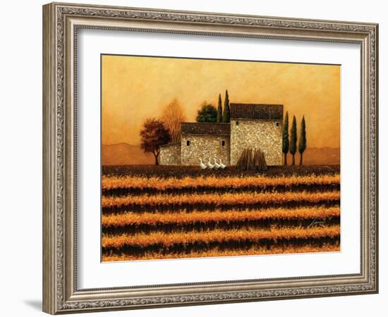 Fall Vineyard-Lowell Herrero-Framed Art Print