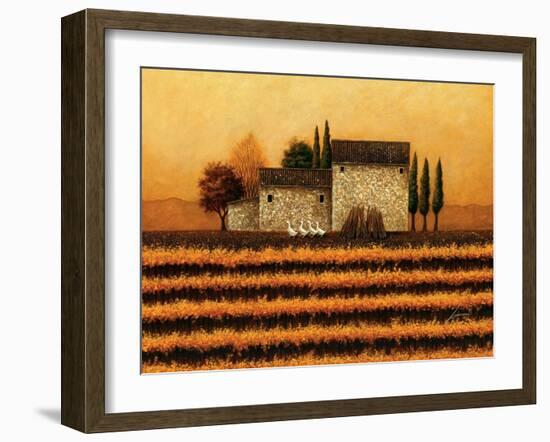 Fall Vineyard-Lowell Herrero-Framed Art Print