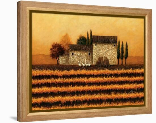 Fall Vineyard-Lowell Herrero-Framed Stretched Canvas