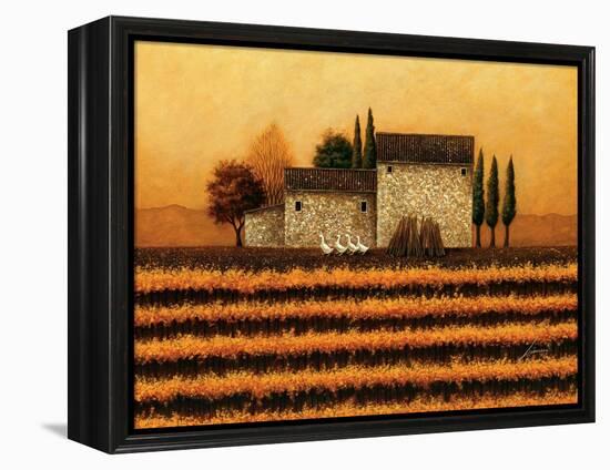 Fall Vineyard-Lowell Herrero-Framed Stretched Canvas