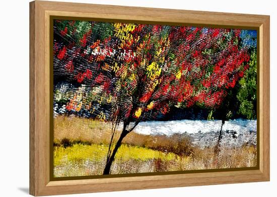 Fall-Ursula Abresch-Framed Premier Image Canvas