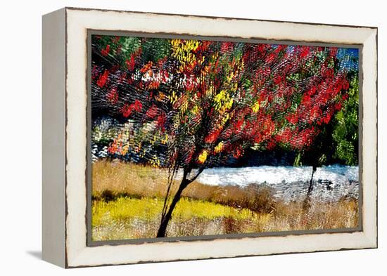 Fall-Ursula Abresch-Framed Premier Image Canvas