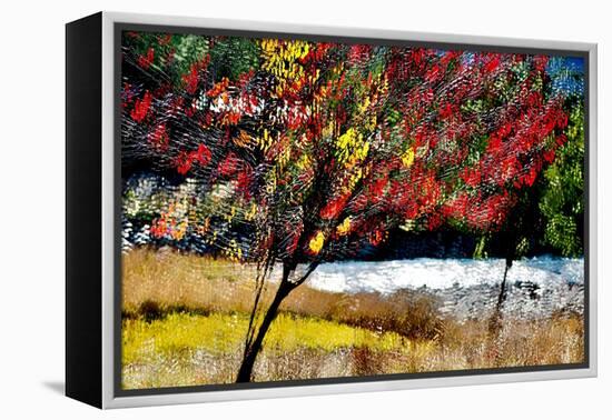 Fall-Ursula Abresch-Framed Premier Image Canvas