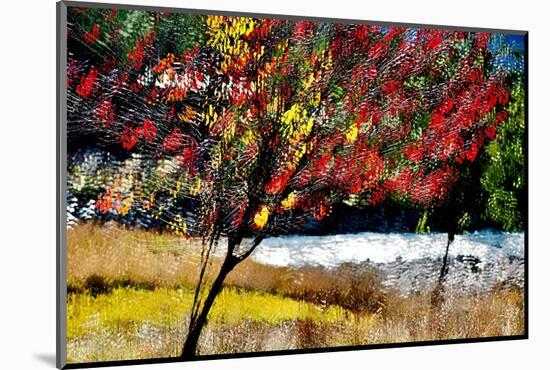 Fall-Ursula Abresch-Mounted Photographic Print