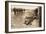 Fallen English after Street Fighting at the Village of Moreuil (B/W Photo)-German photographer-Framed Giclee Print