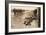 Fallen English after Street Fighting at the Village of Moreuil (B/W Photo)-German photographer-Framed Giclee Print