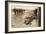Fallen English after Street Fighting at the Village of Moreuil (B/W Photo)-German photographer-Framed Giclee Print
