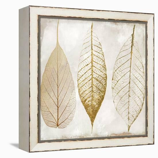 Fallen Gold II-Color Bakery-Framed Premier Image Canvas