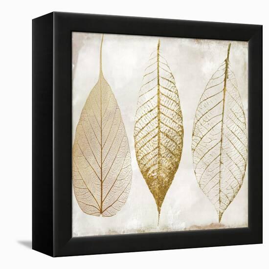 Fallen Gold II-Color Bakery-Framed Premier Image Canvas