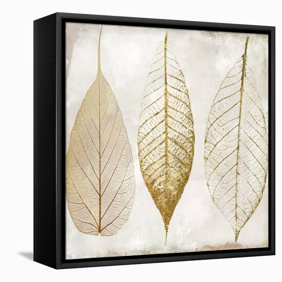 Fallen Gold II-Color Bakery-Framed Premier Image Canvas