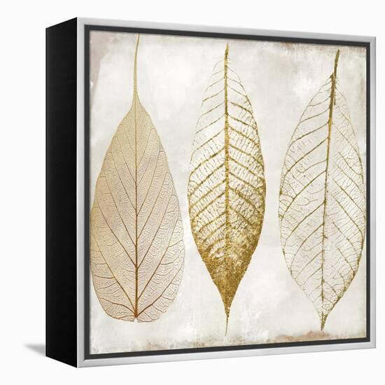 Fallen Gold II-Color Bakery-Framed Premier Image Canvas