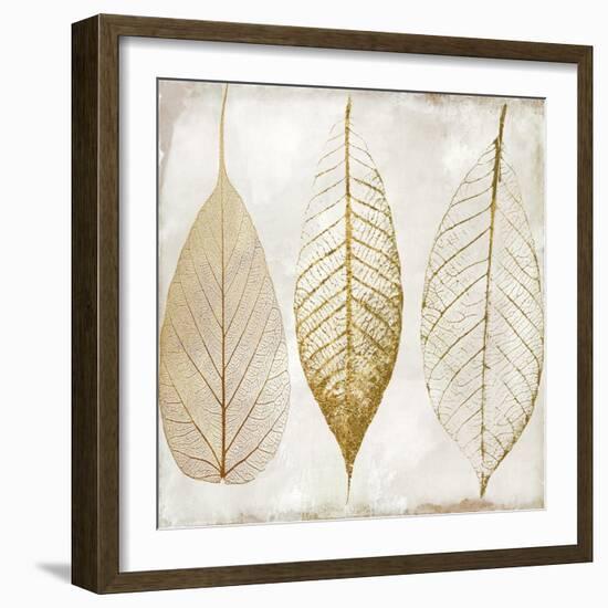 Fallen Gold II-Color Bakery-Framed Giclee Print