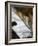 Fallen Leaves I-Nicole Katano-Framed Photo