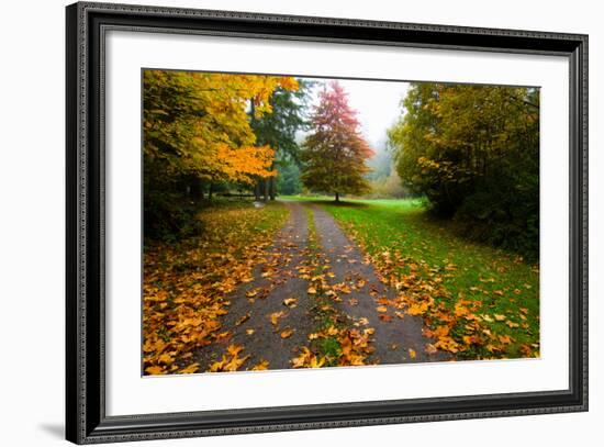 Fallen Leaves on a Road, Washington State, USA-null-Framed Photographic Print