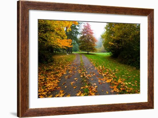 Fallen Leaves on a Road, Washington State, USA-null-Framed Photographic Print