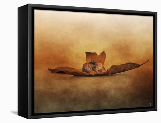 Fallen Together-Jai Johnson-Framed Premier Image Canvas