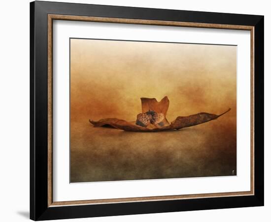 Fallen Together-Jai Johnson-Framed Giclee Print