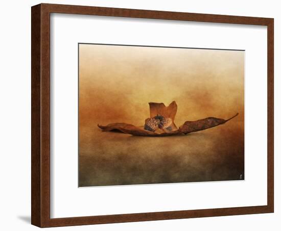 Fallen Together-Jai Johnson-Framed Giclee Print