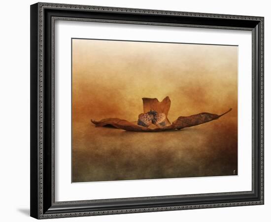 Fallen Together-Jai Johnson-Framed Giclee Print