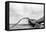 Fallen Tree on the Beach after Storm. Sea on a Cloudy Day. Black and White, far Horizon.-Michal Bednarek-Framed Premier Image Canvas