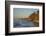 Fallen Trees in the Surge on the Western Beach of Darss Peninsula-Uwe Steffens-Framed Photographic Print