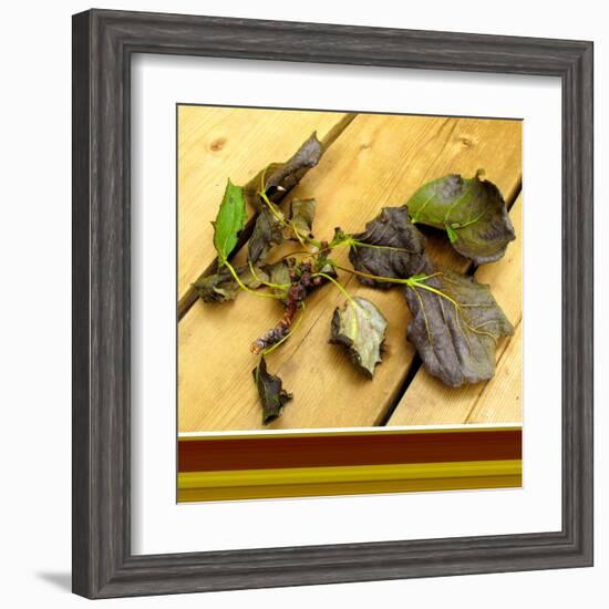 Fallen-Ruth Palmer-Framed Art Print